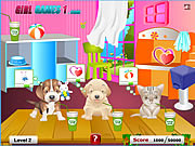 Click to Play Pet Care