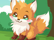 Click to Play Fox Care