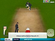 Click to Play Online Cricket 2011