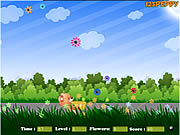 Click to Play Flower Catcher