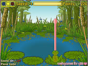 Click to Play Froggie The Fly Catcher