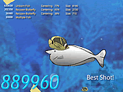 Click to Play Ocean Explorer