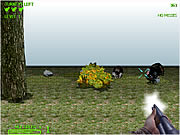 Click to Play Turkey Shootout 3D