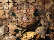 Click to Play American Toad Jigsaw Puzzle