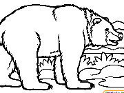 Click to Play Coloring Bears -1