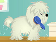 Click to Play Cutie Pet Care