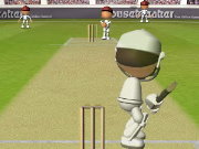 Click to Play Flash Cricket 2