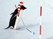Click to Play Penguin with Bow Golf